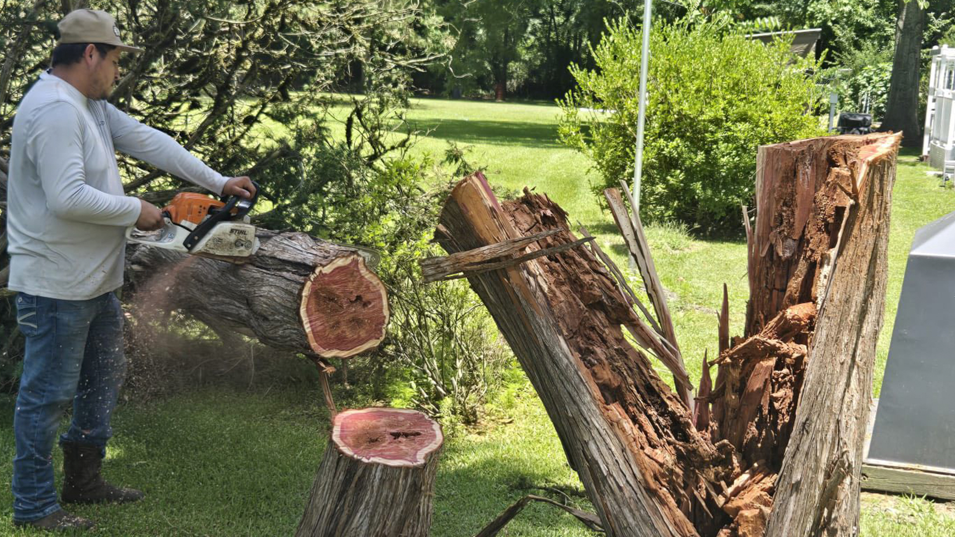 Welcome to Penaloza Tree Service LLC