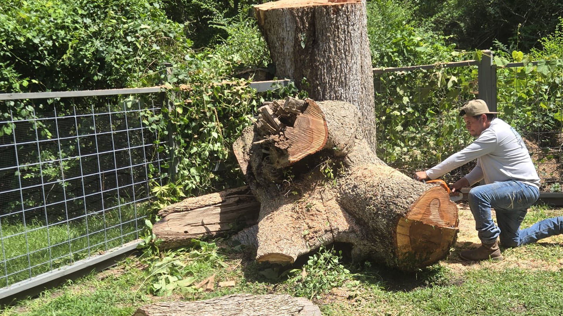 12 Years of Experience