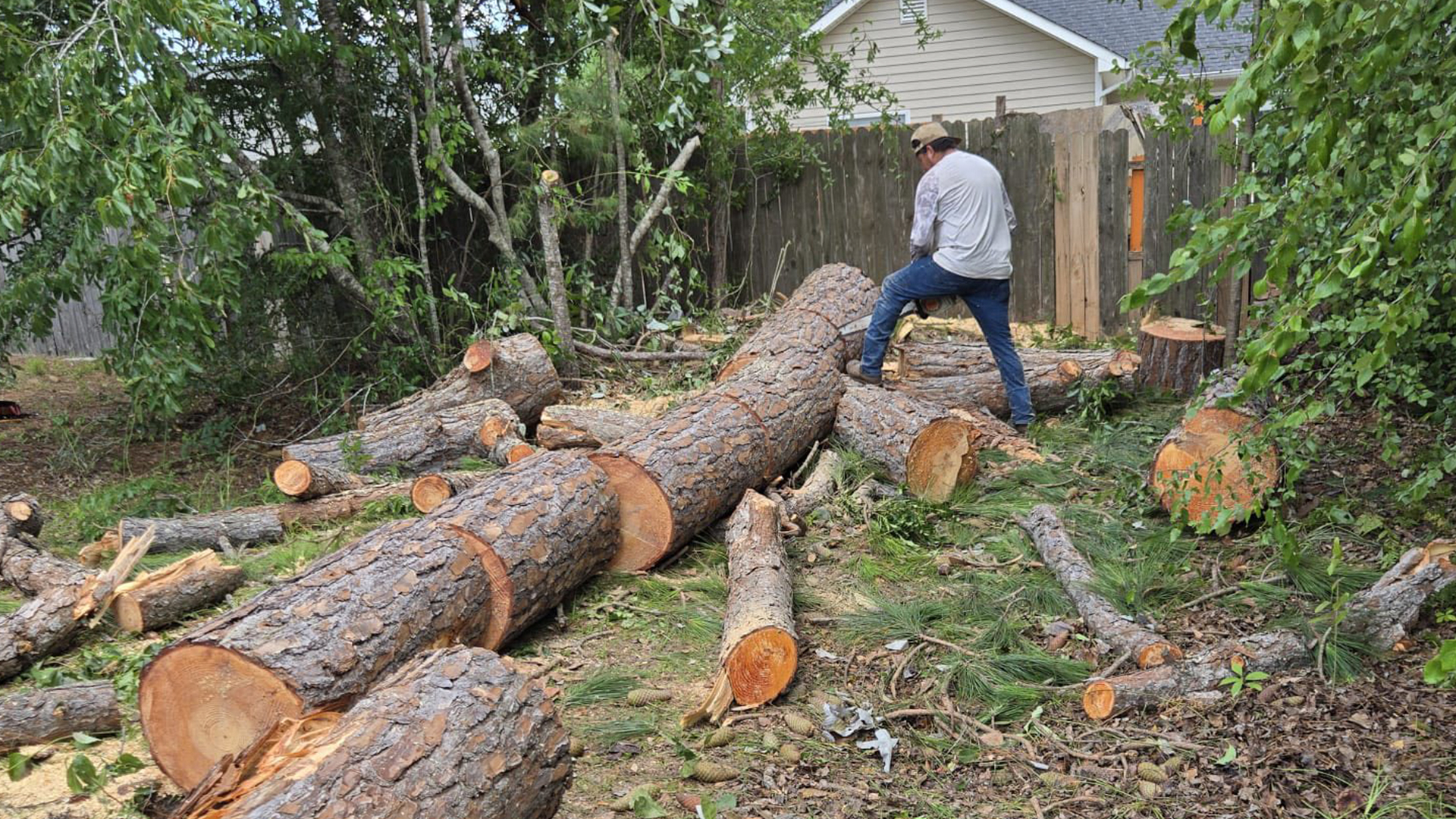 Tree Services in Little Rock AR