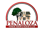 Penaloza Tree Service LLC