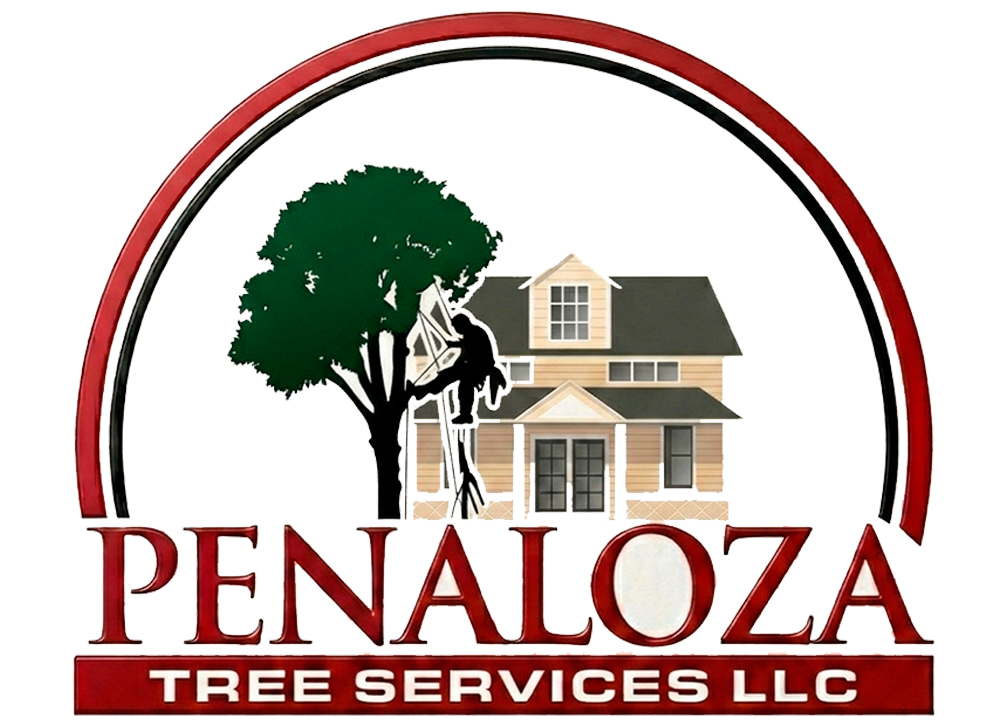 Penaloza Tree Services LLC